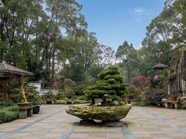 Nanshan Botanical Garden