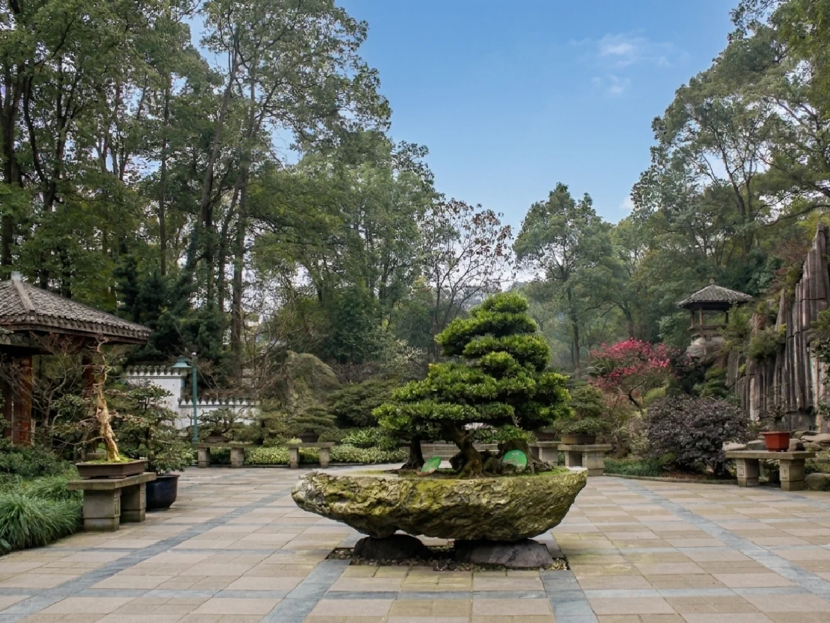 Nanshan Botanical Garden
