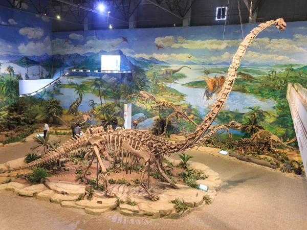 Zigong Dinosaur Museum