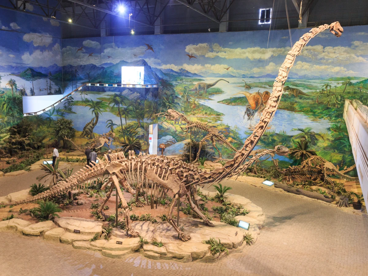 Zigong Dinosaur Museum